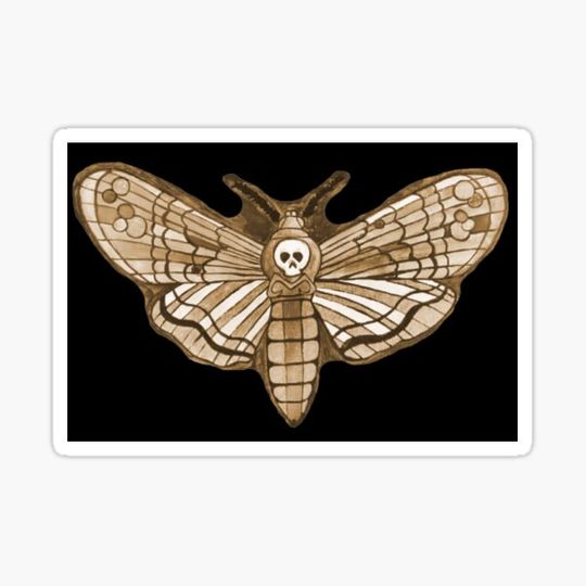 Discover Death's-Head Hawkmoth