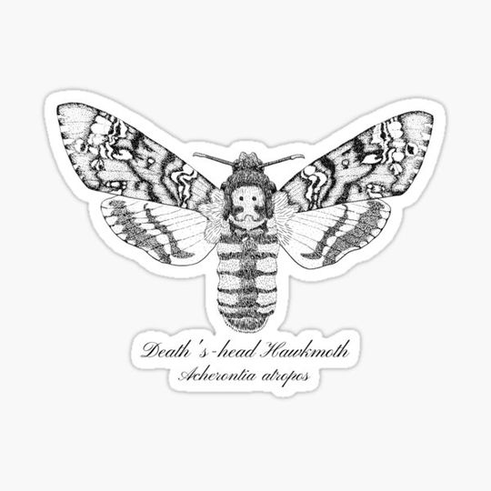 Discover Death's Head Hawkmoth