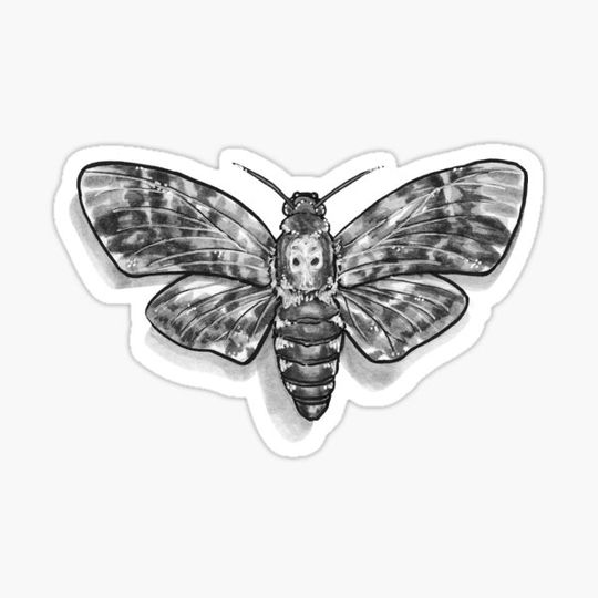 Discover Black Ink Death Moth