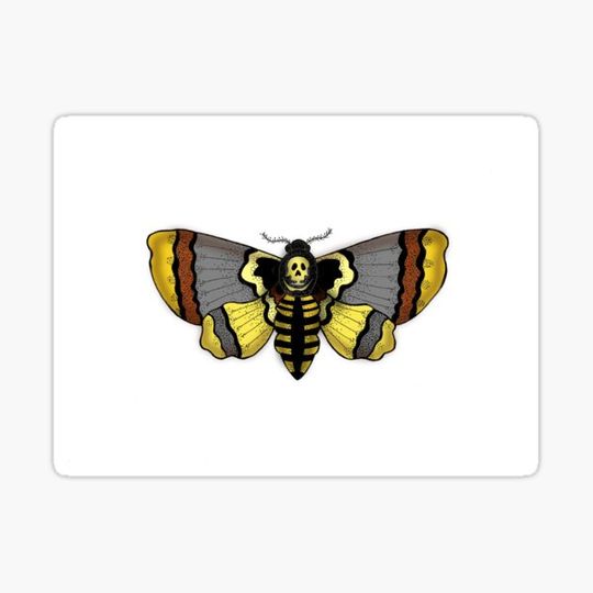 Discover Deaths head moth