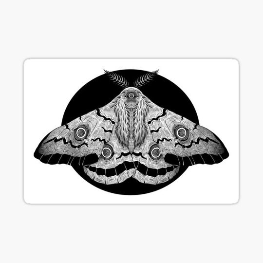 Discover Mothy