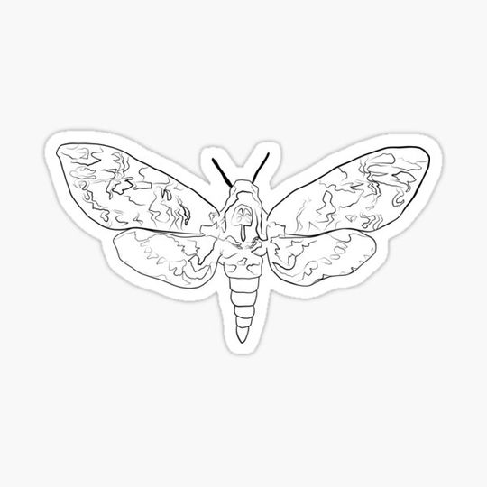 Discover Striped Lepidoptera