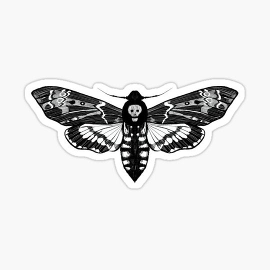 Death's Head Moth