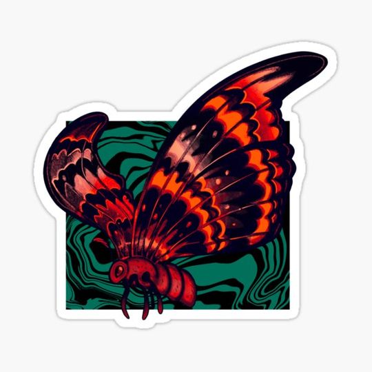 Discover Moth