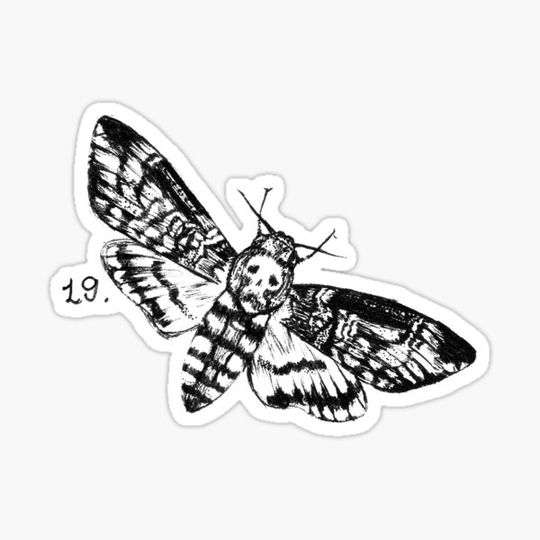 Discover The Death Hawk
