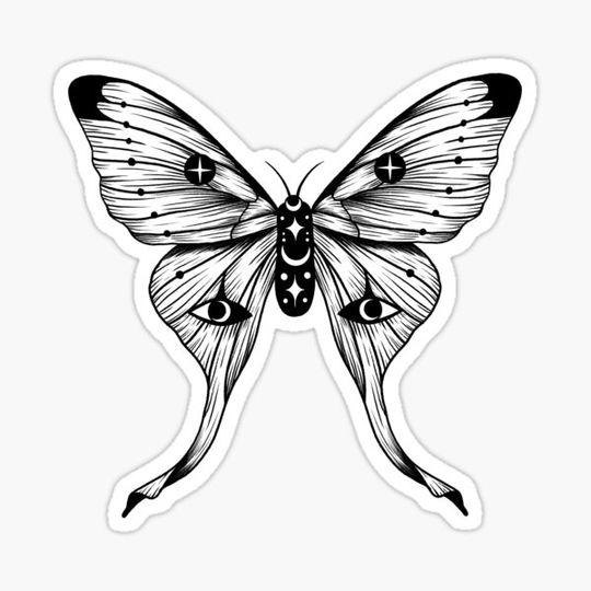 Discover Mystical Moon Moth
