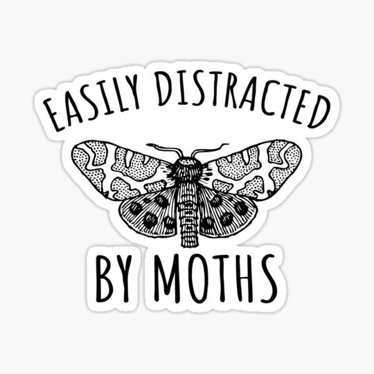 Discover Easily Distracted By Moths