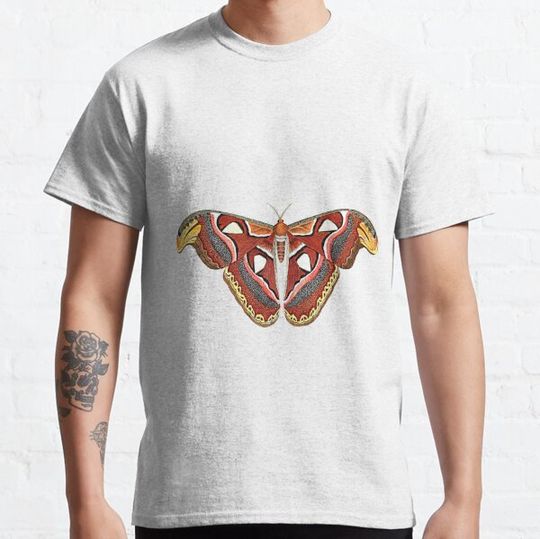 Discover Attacus atlas