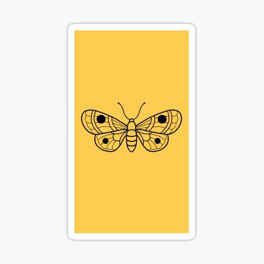 Discover Moths