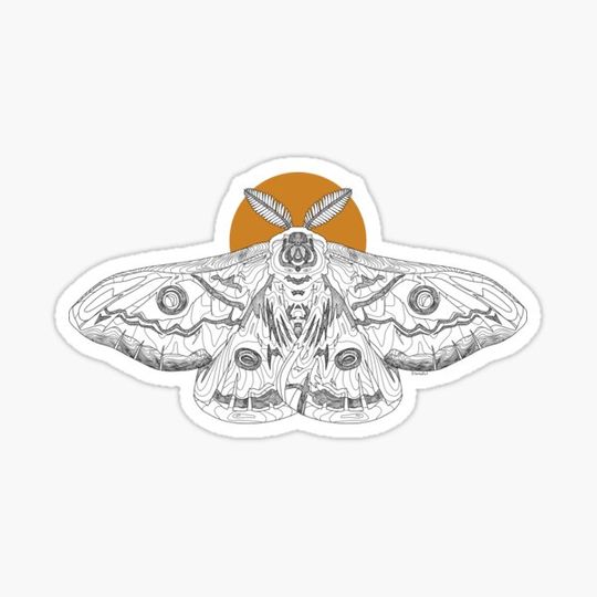 Discover Moth