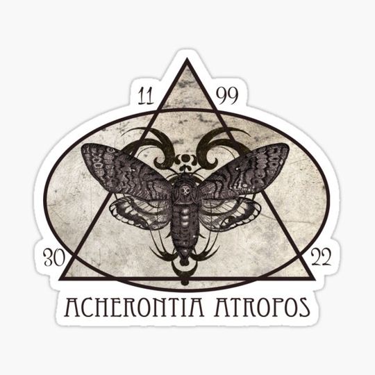 Discover Death's head hawkmoth