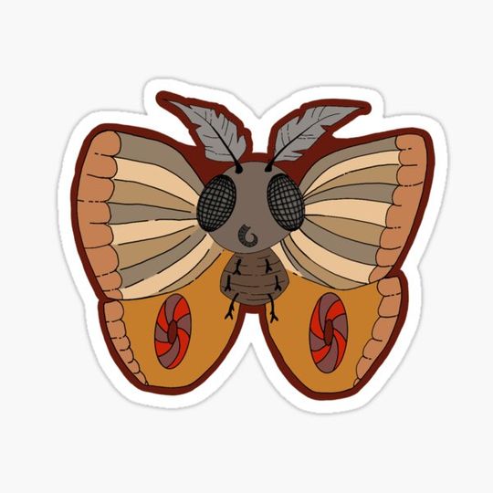 Discover Moth