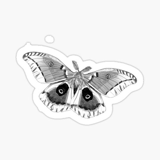 Discover Io moth in black and white