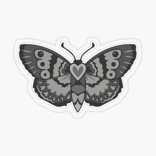 Discover Night butterfly
