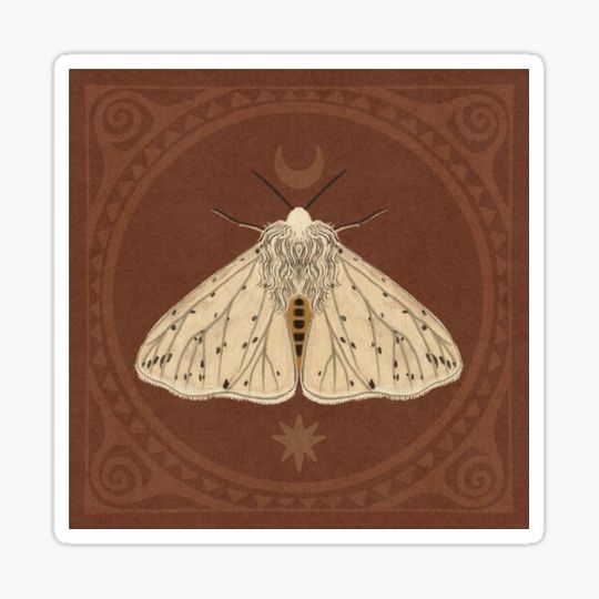 Discover The White Ermine Moth