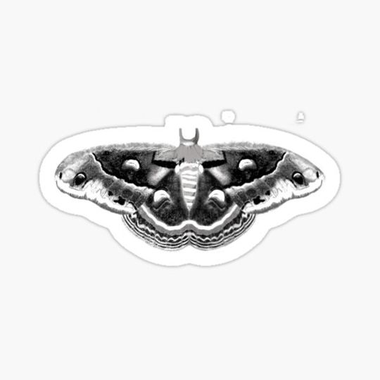 Discover Crecopia Moth in black and white