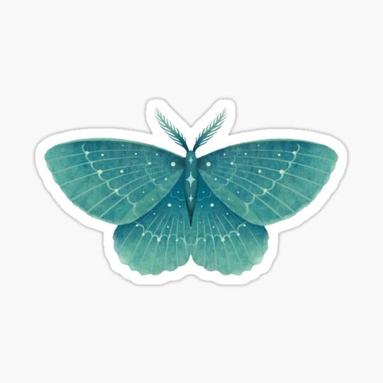Discover Emerald Moth