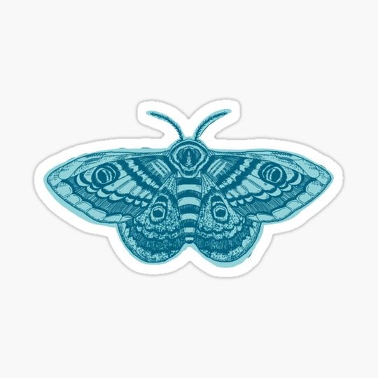 Discover Blue  Butterfly