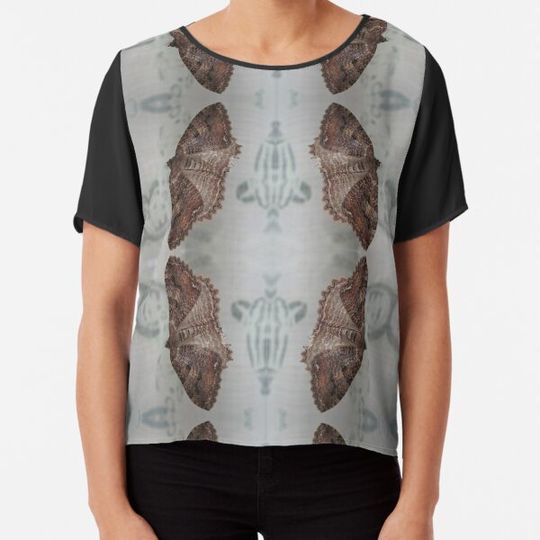 Discover Moth Pattern
