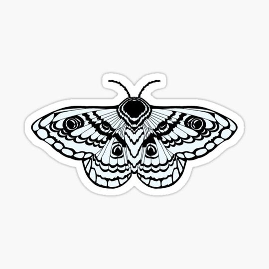 Discover Simplistic Moth