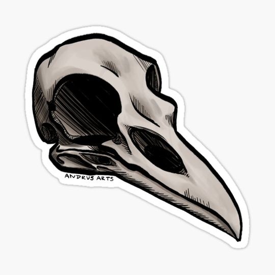 Discover Corvid Skull