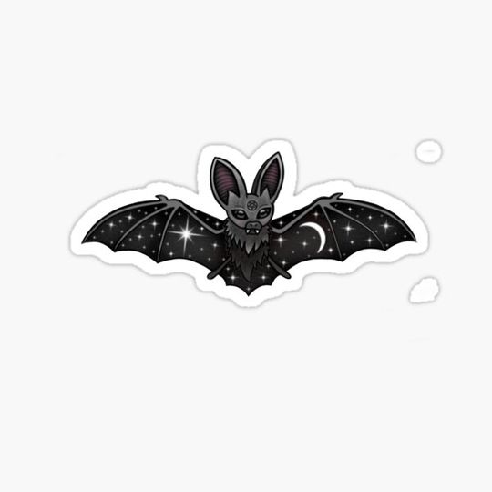Discover Bat In The Night