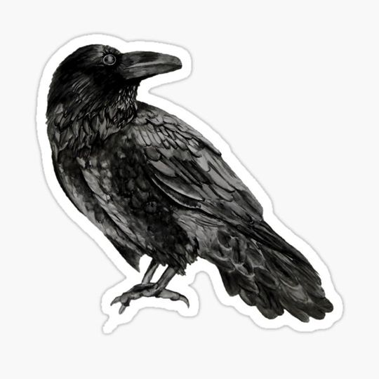 Discover Raven