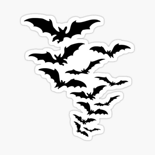 Discover Bats