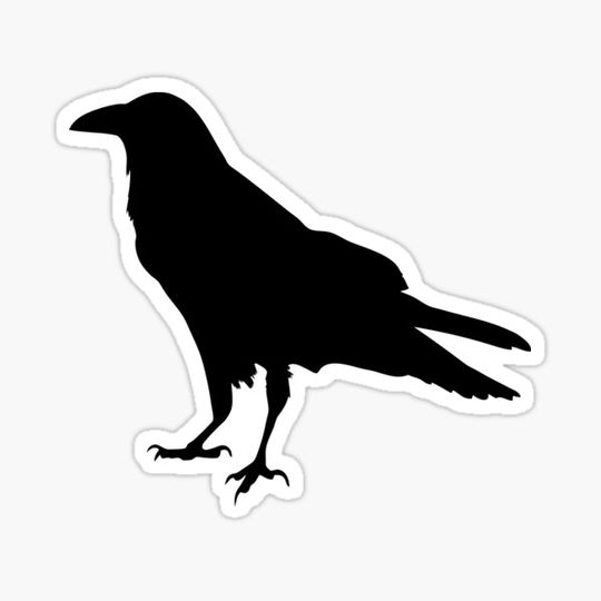 Discover Black Crow