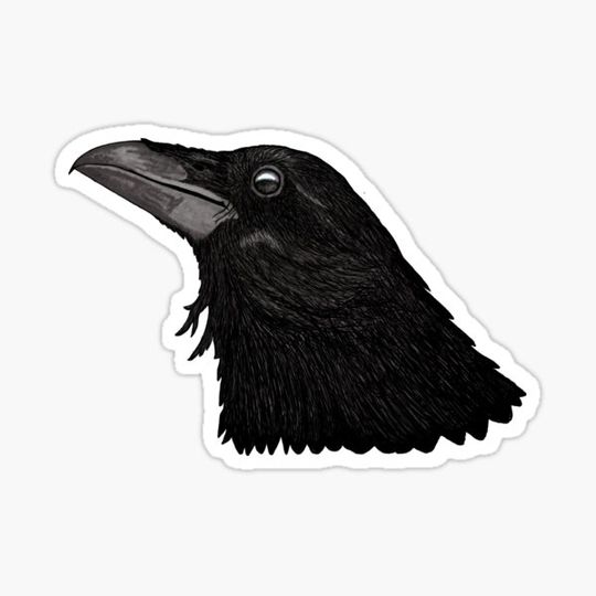 Discover Raven