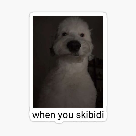 Discover skibidi dog meme