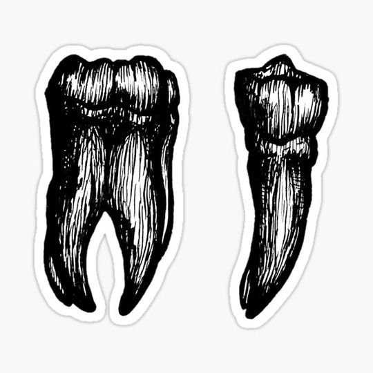 Discover Teeth