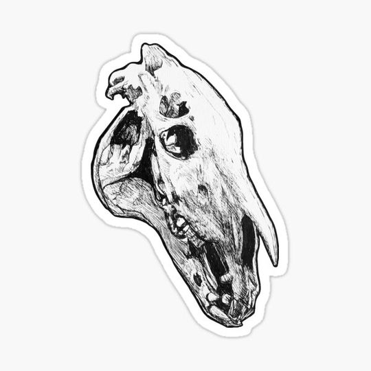 Discover Horse Skull v2