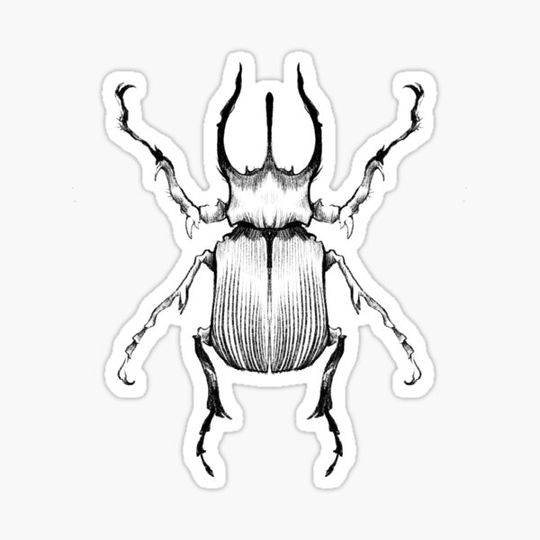 Discover Beetle Line Art