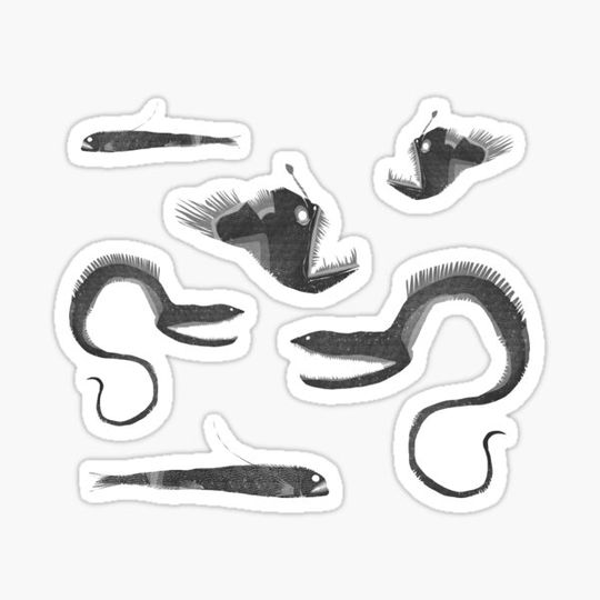 Discover Aquatic Animals - Deep Sea Creatures