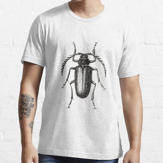 Discover longhorn beetles