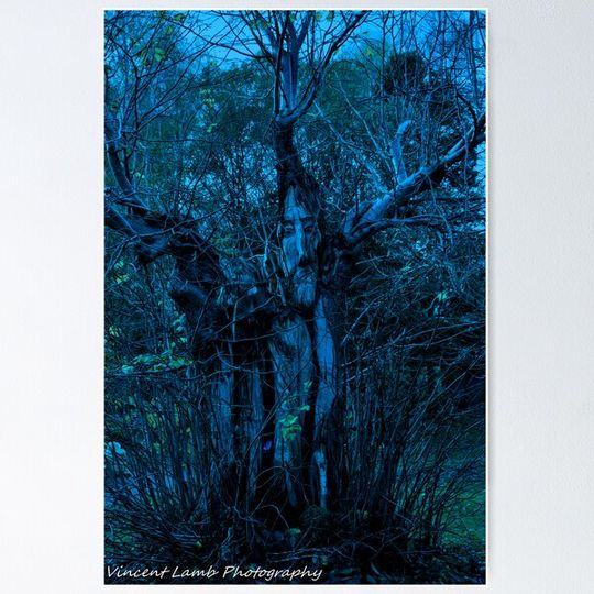 Discover creepy tree