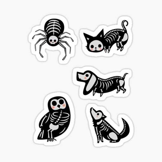 Discover Cute Bone Halloween Set