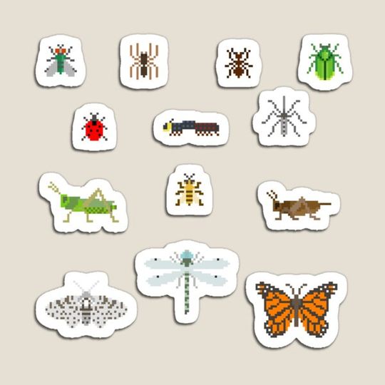 Discover Creepy Crawlies - The Kids' Picture Show