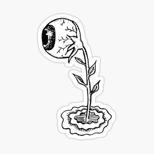 Discover eye flower