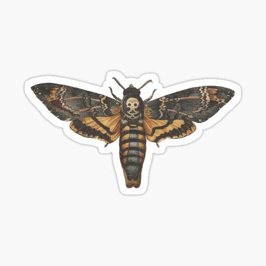 Discover Deaths Head Hawkmoth