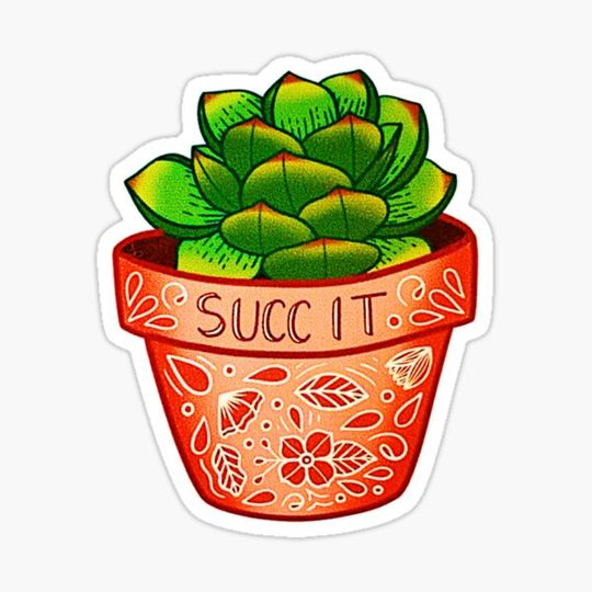 Discover succulent