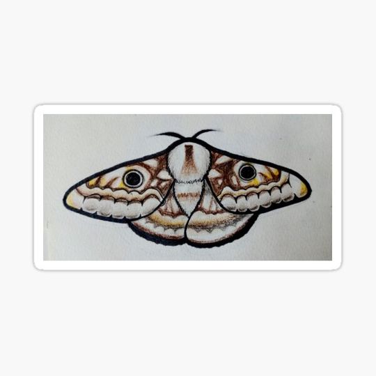 Discover moth