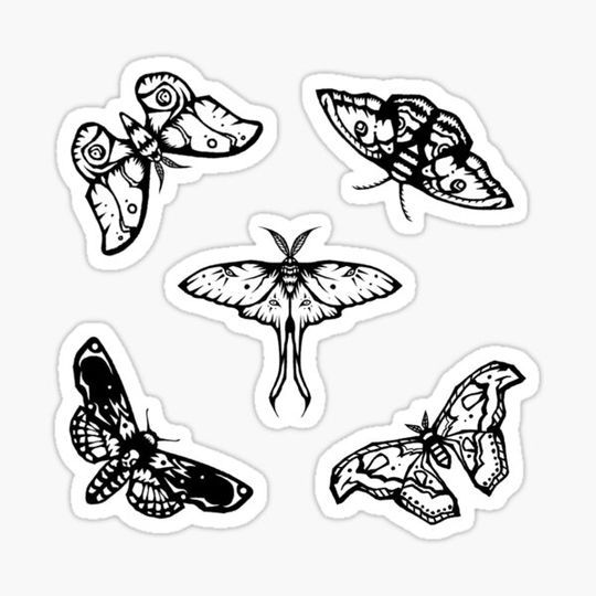 Discover Moth pattern