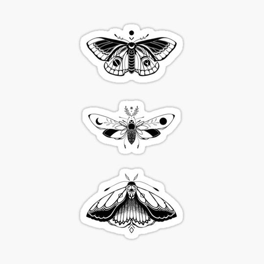 Discover Insomniac Butterflies