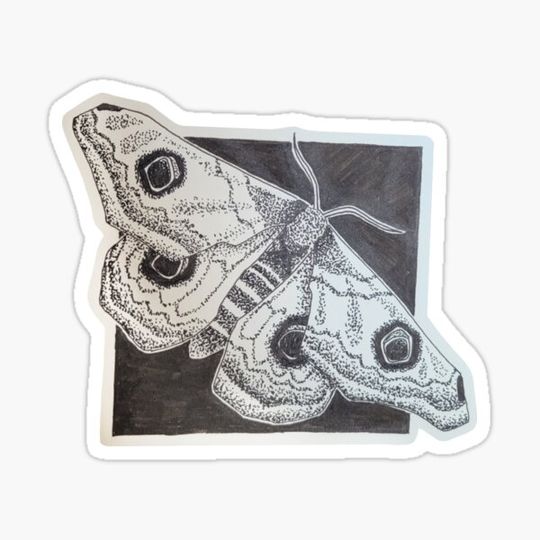 Discover Cross hatched ink Moth