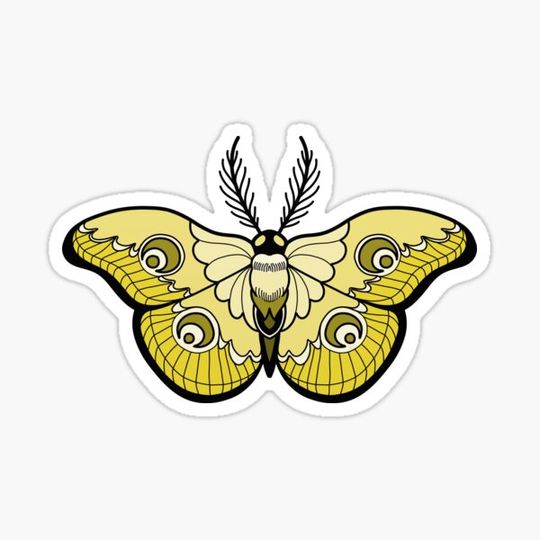 Discover Moon Moth Yellow
