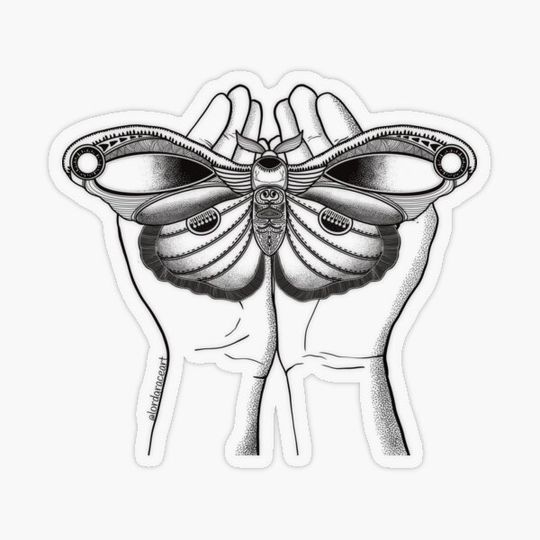 Discover Moth Hands