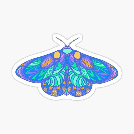 Discover Illuminating Nola Moth