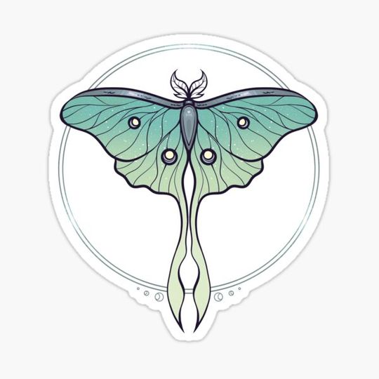 Discover Silver Galaxy Luna Moth (aqua)